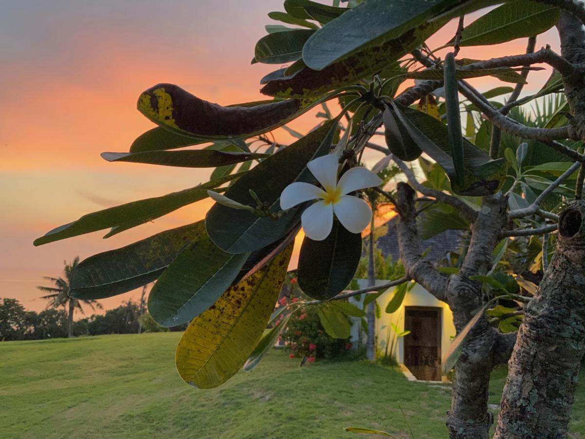 Balian Prana Hotel Selemadeg  Exterior foto
